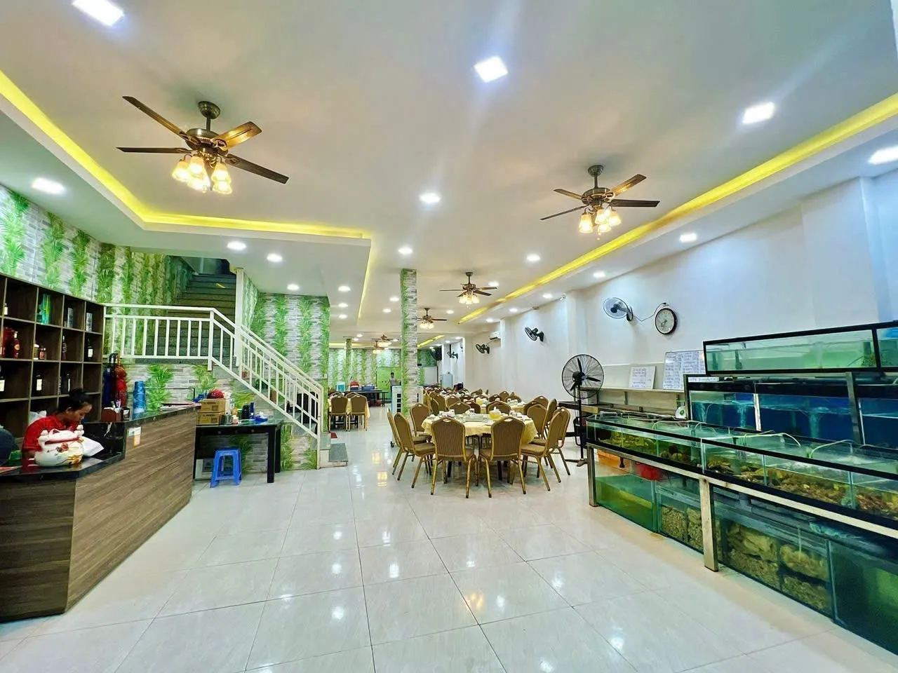 Nhà 2 tầng mặt tiền Hoàng Văn Thụ 303m², ngang 8m nở hậu 10m – gần ngã 4 Quang… – ảnh 4