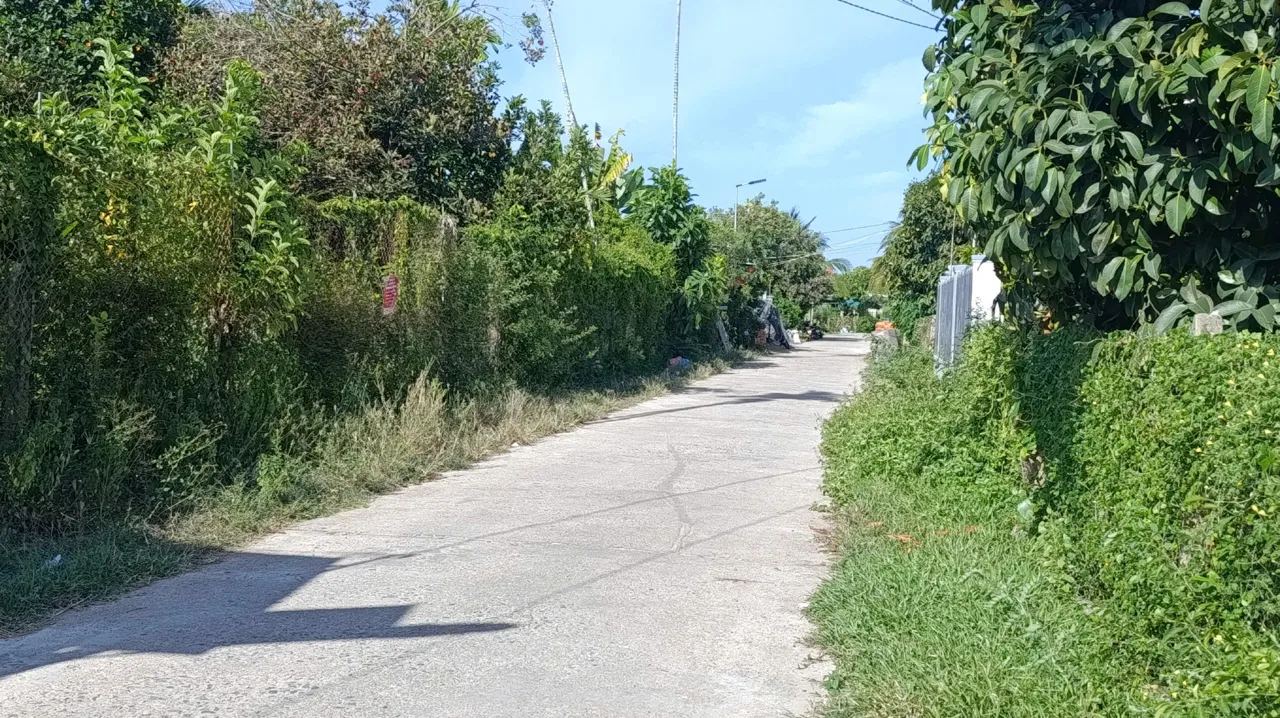 Nhà mái Thái 160m² ngang 5m, sân ô tô, sổ riêng, cách Võ Nguyên Giáp 800m… – ảnh 3