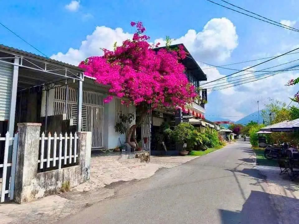 2 lô đất full thổ cư 71,4m² và 93,6m² gần đường 23/10, sổ riêng – Diên An – ảnh 2