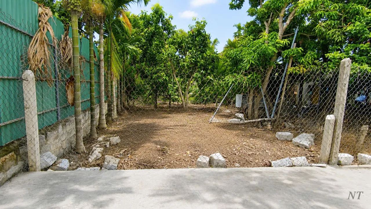 Đất 140m² (5 x 28m) cách QL1A 300m, vừa giảm 100 triệu – Diên Điền