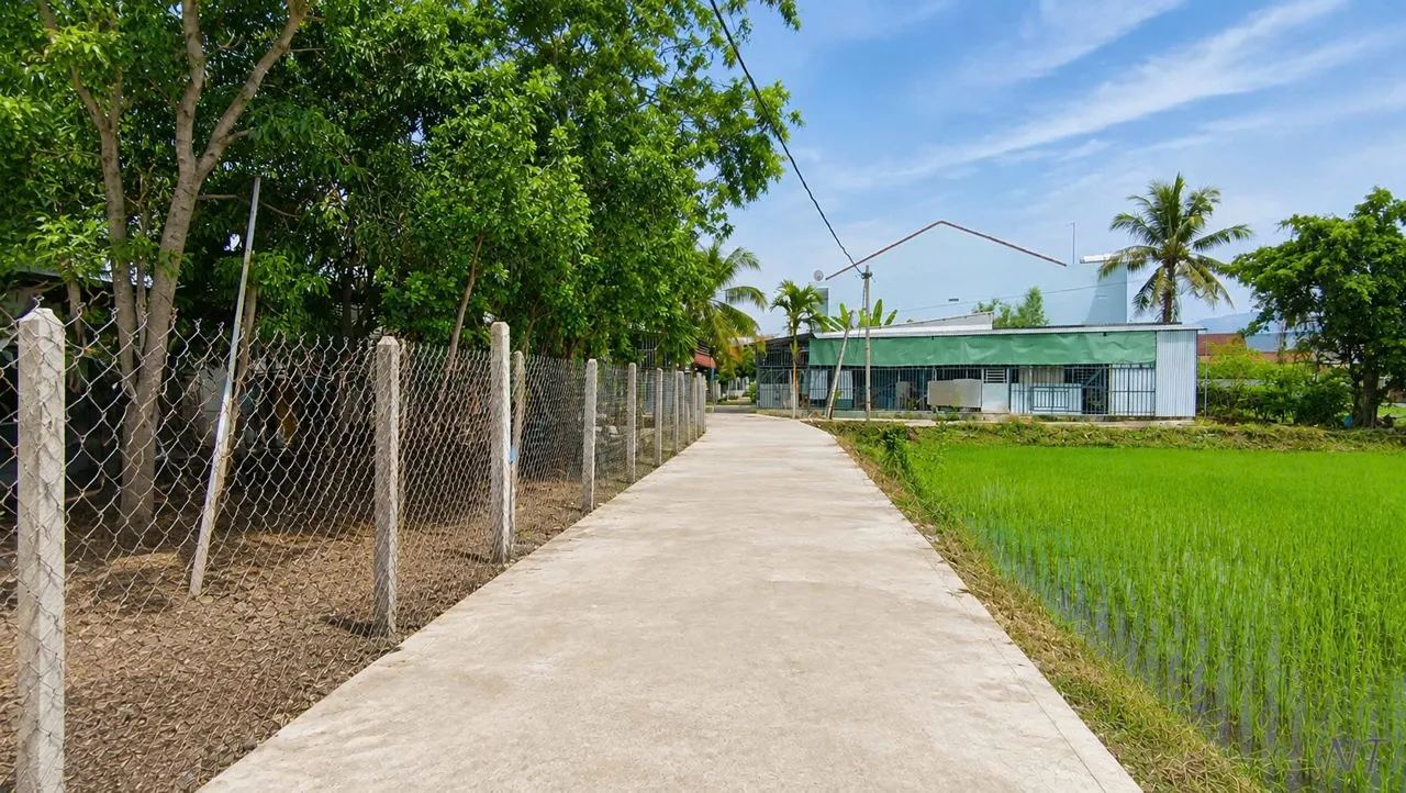 Đất 140m² (5 x 28m) cách QL1A 300m, vừa giảm 100 triệu – Diên Điền – ảnh 2
