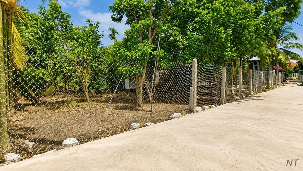 Đất 140m² (5 x 28m) cách QL1A 300m, vừa giảm 100 triệu – Diên Điền – ảnh 3