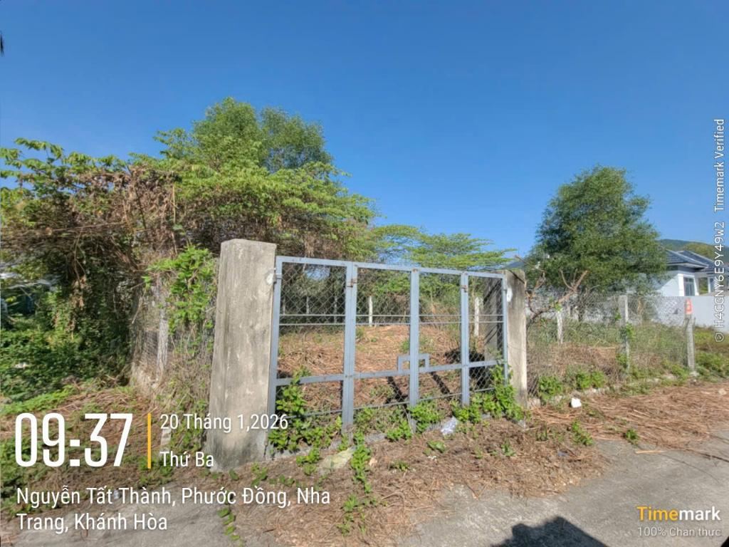 Lô đất 251,6m² ngang 10m cạnh sân golf Diamond Bay, đường bê tông 4m, tách… – ảnh 1