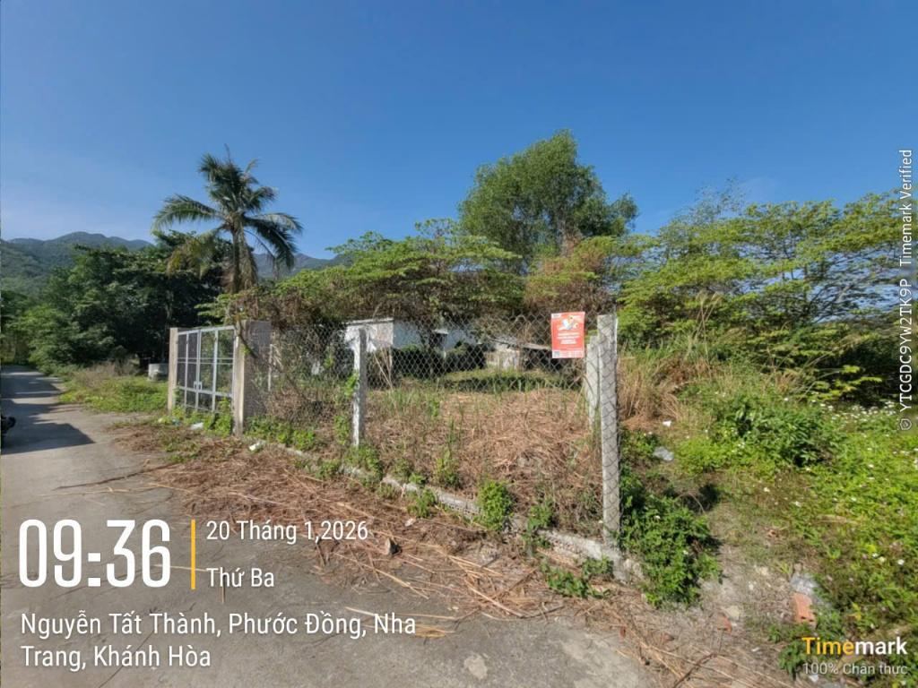 Lô đất 251,6m² ngang 10m cạnh sân golf Diamond Bay, đường bê tông 4m, tách… – ảnh 2